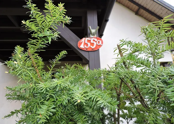 Lotosdom Apartment *