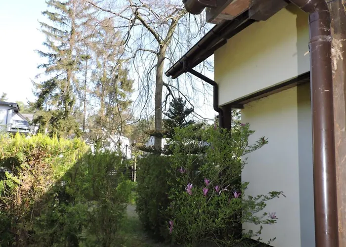 Lotosdom Apartment *